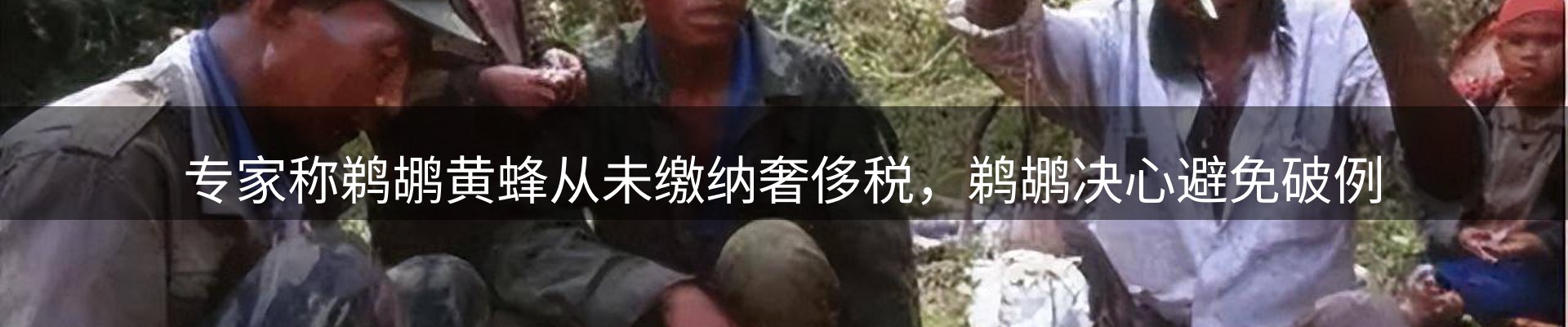 新闻优选