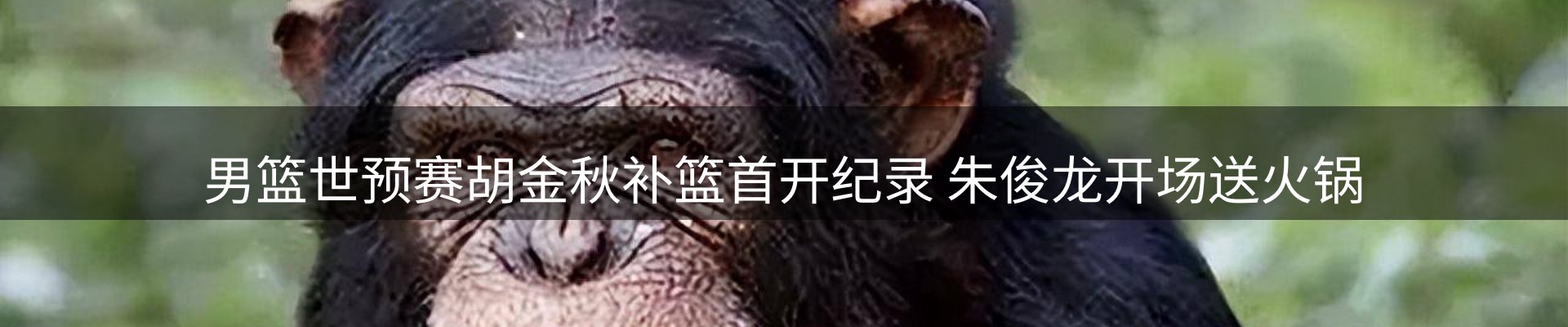 新闻优选